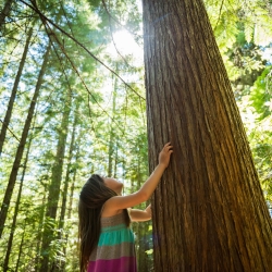 The power of intention and nature