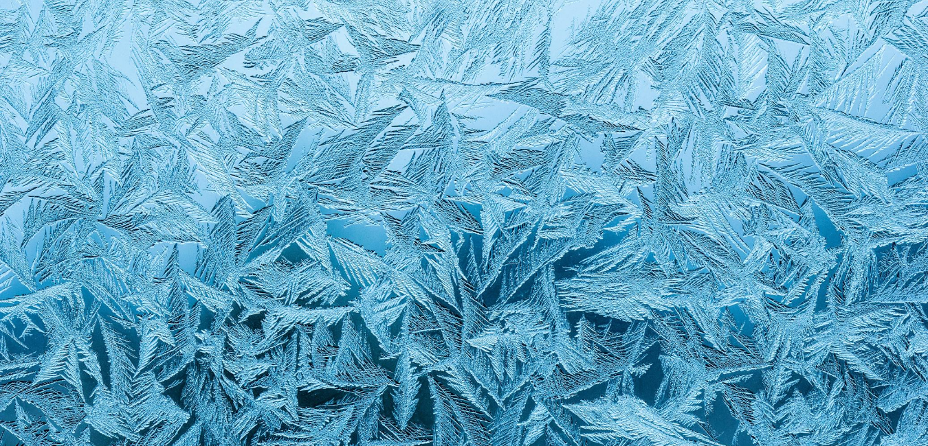 Frozen by loved ones' fears